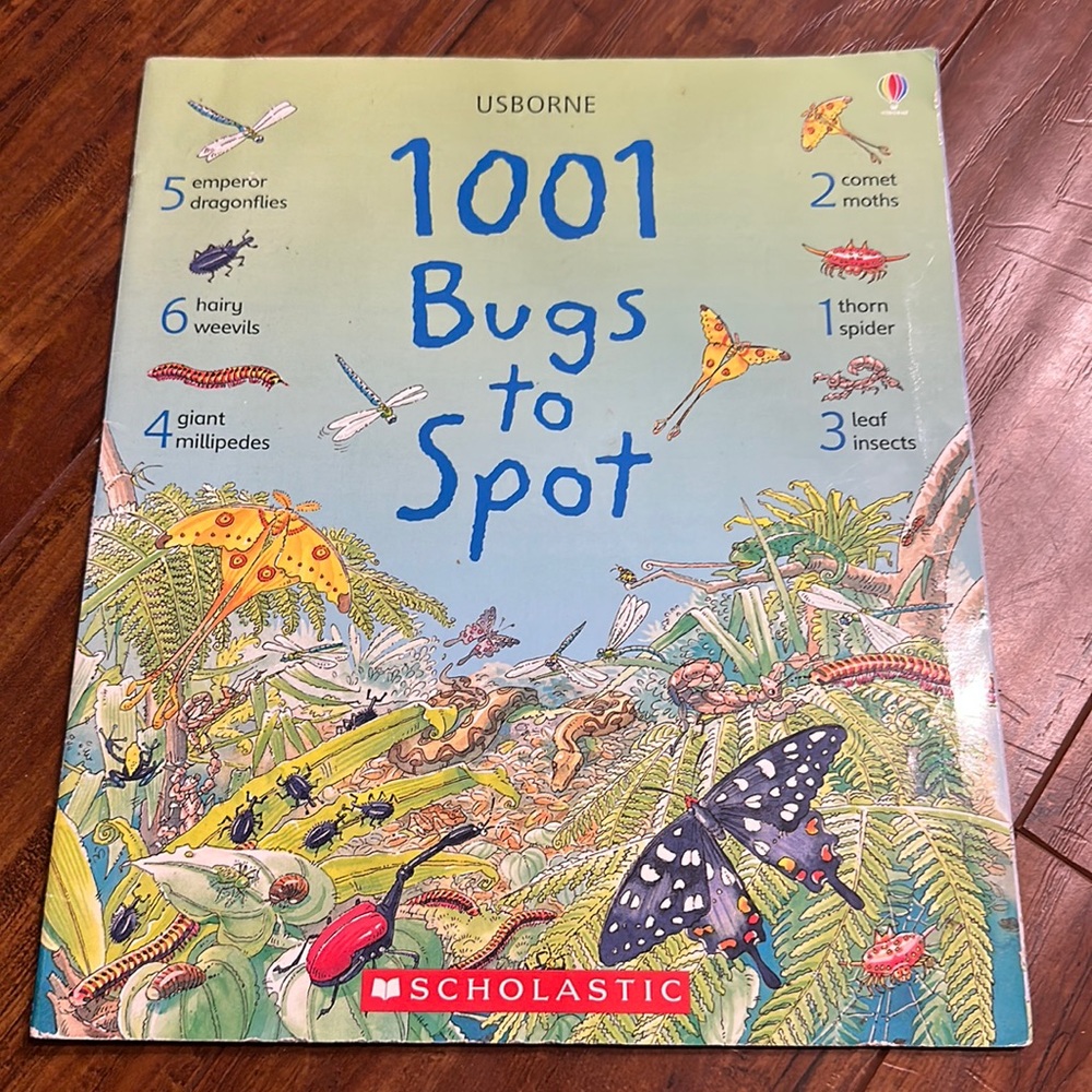 Usborne 1001 Bugs to Spot Kids Search Find Counting Homeschool Activity